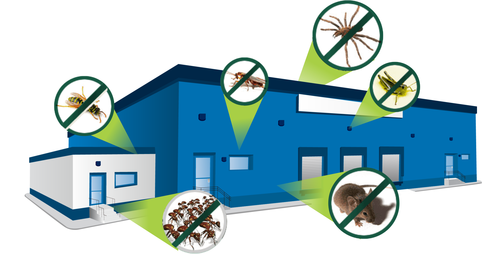 desratizacion de casas y locales