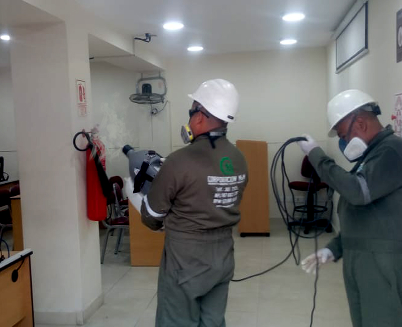desinfectacion-peru